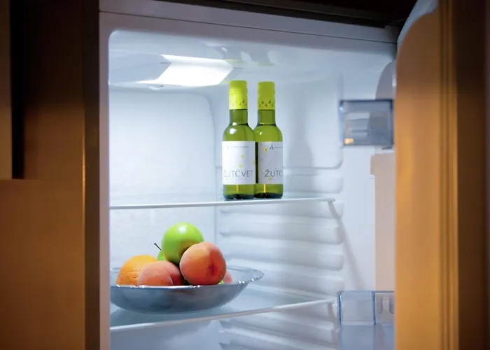 Ollio Quiet Center Belgrad